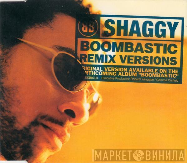 Shaggy - Boombastic (Remix Versions)
