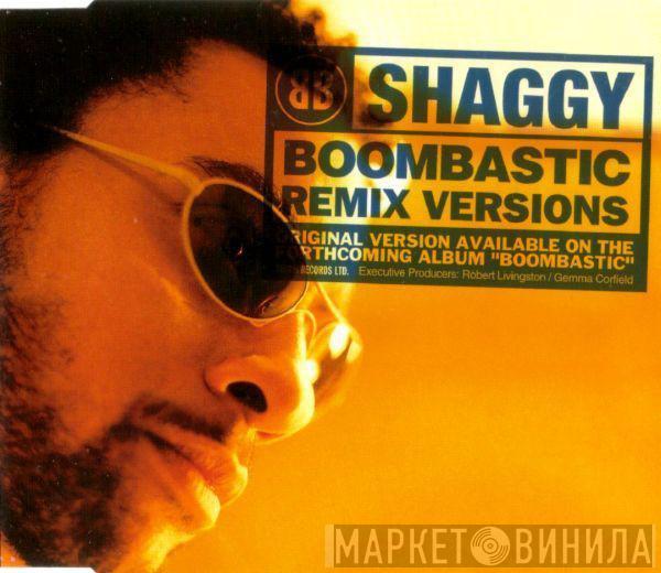  Shaggy  - Boombastic (Remix Versions)
