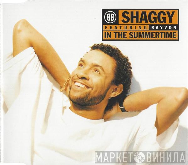 Shaggy, Rayvon - In The Summertime