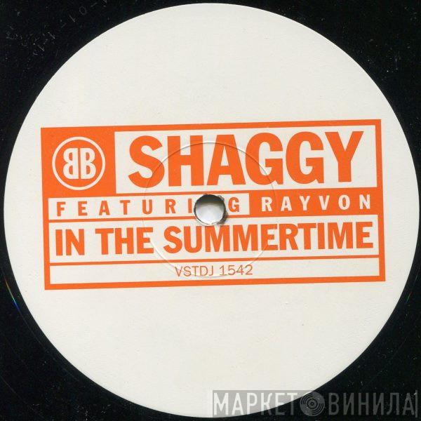 Shaggy, Rayvon - In The Summertime