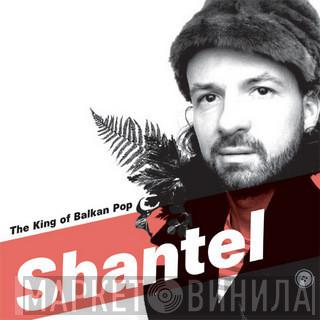  Shantel  - The King Of Balkan Pop
