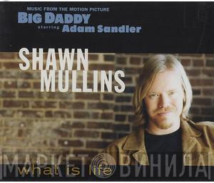 Shawn Mullins - What Is Life