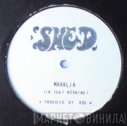  Shed   - Mahalia (In That Morning)