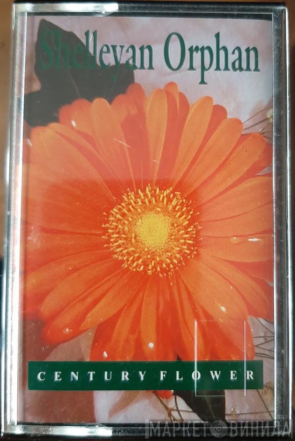  Shelleyan Orphan  - Century Flower