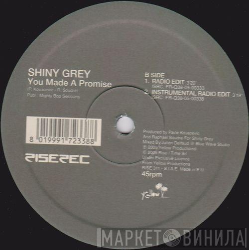 ShinyGrey - You Made A Promise