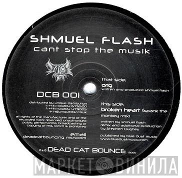  Shmuel Flash  - Can't Stop The Musik