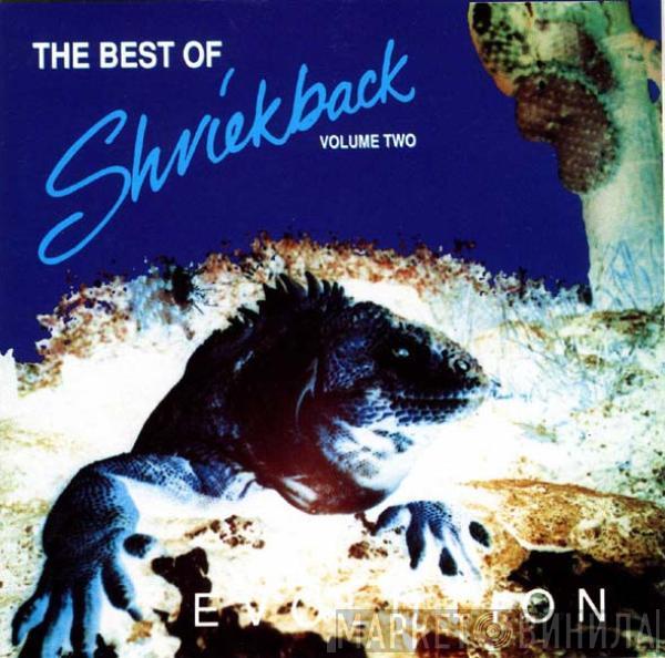  Shriekback  - The Best Of Shriekback Volume Two: Evolution