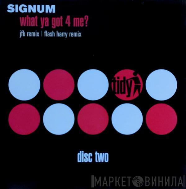 Signum - What Ya Got 4 Me?