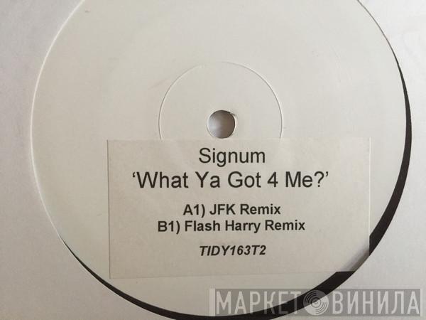 Signum - What Ya Got 4 Me?