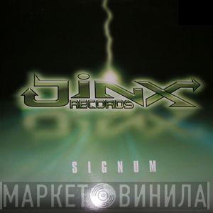  Signum  - What Ya Got 4 Me