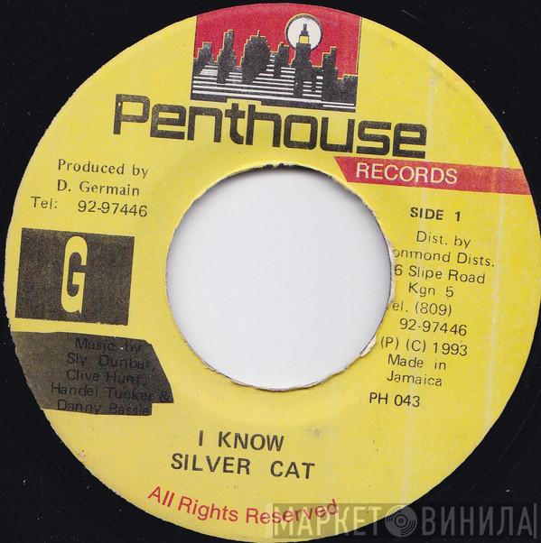 Silver Cat  - I Know