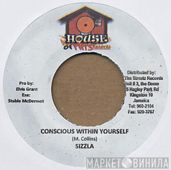 Sizzla - Conscious Within Yourself