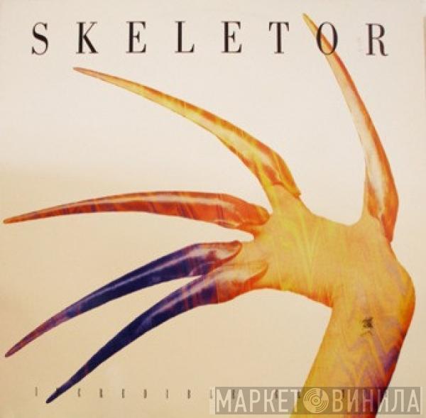  Skeletor  - Incredible Groove
