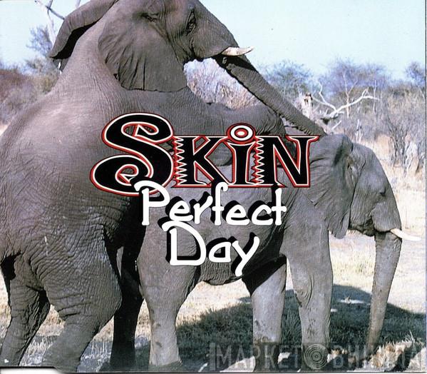 Skin  - Perfect Day