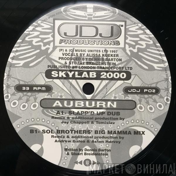 Skylab 2000 - Auburn