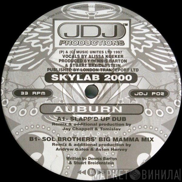 Skylab 2000 - Auburn
