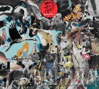 Snöleoparden - Snöleoparden