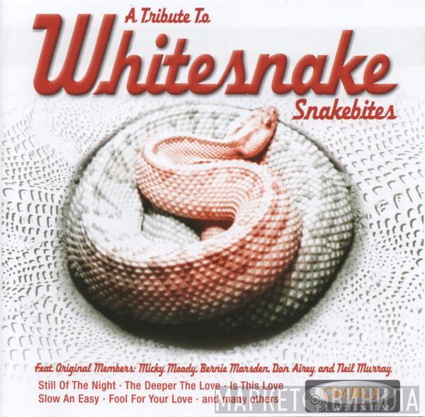  - Snakebites - A Tribute To Whitesnake