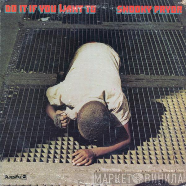 Snooky Pryor - Do It If You Want To