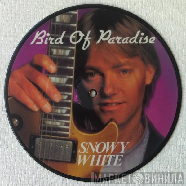 Snowy White - Bird Of Paradise