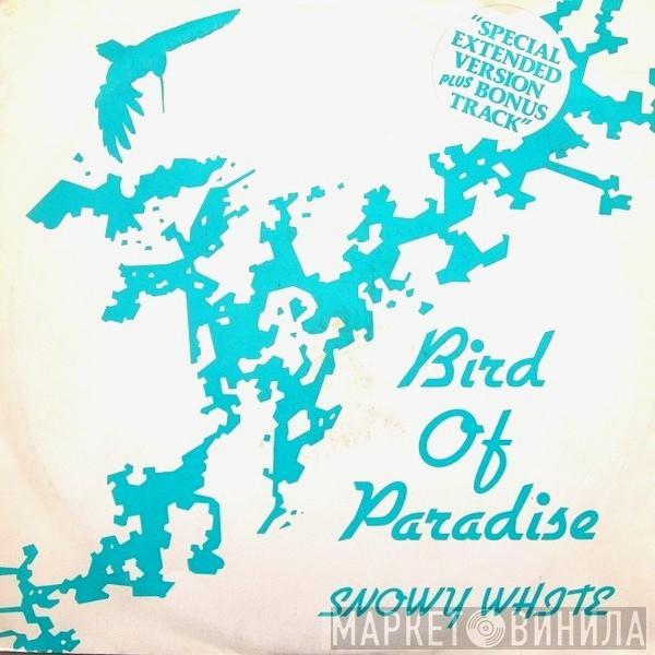  Snowy White  - Bird Of Paradise