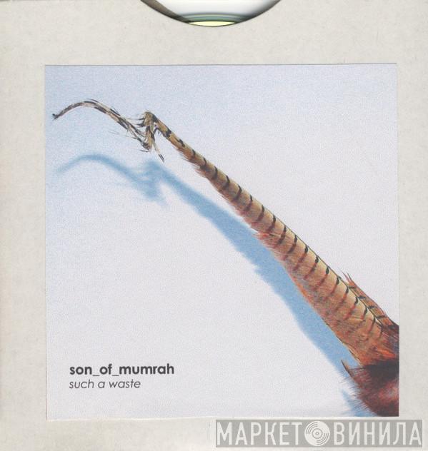 Son_Of_Mumrah - Such A Waste