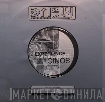 Sonic Experience  - Love Is The Power
