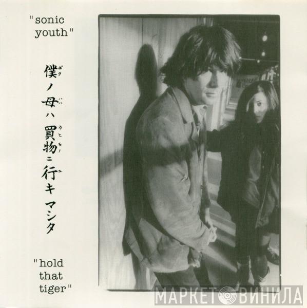  Sonic Youth  - Hold That Tiger