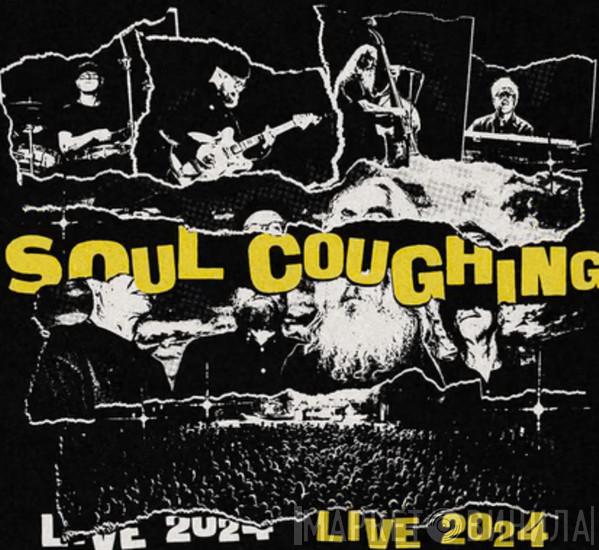 Soul Coughing - Live 2024