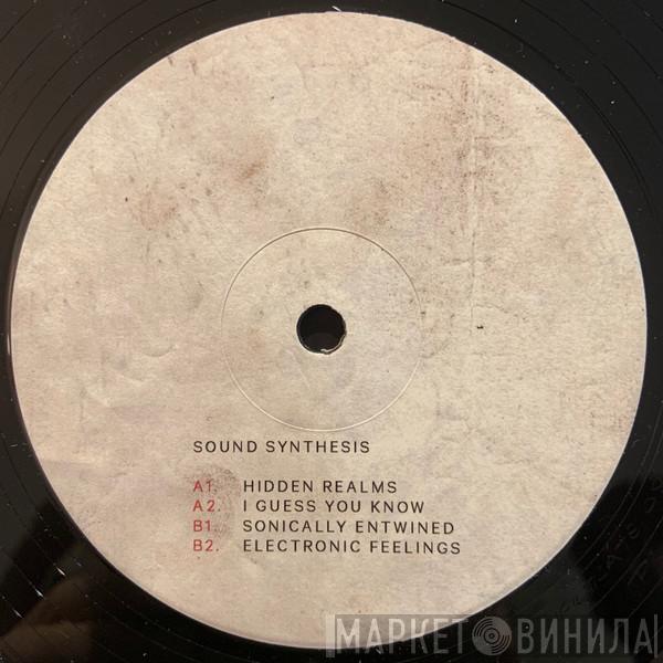  Sound Synthesis  - Hidden Realms
