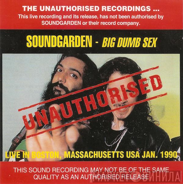  Soundgarden  - Big Dumb Sex
