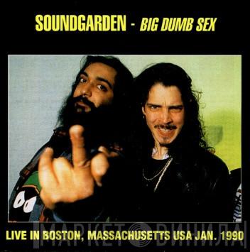  Soundgarden  - Big Dumb Sex