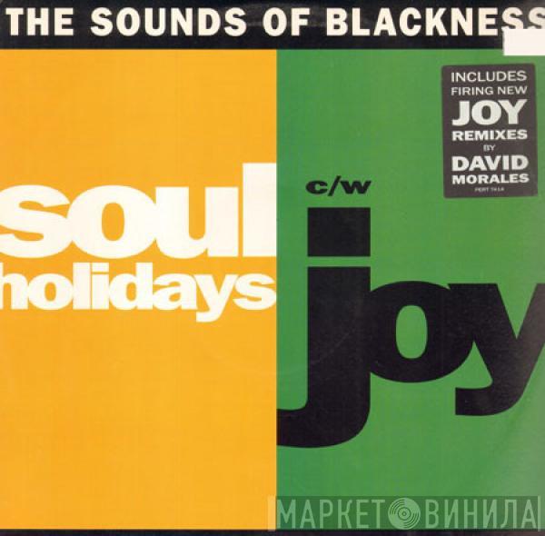 Sounds Of Blackness  - Soul Holidays / Joy