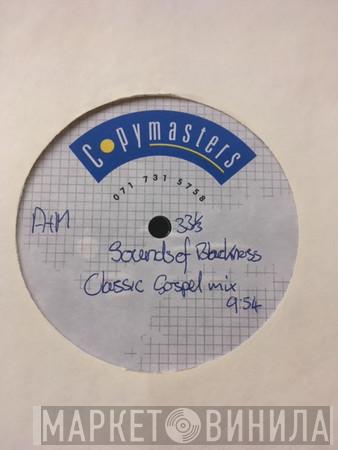  Sounds Of Blackness  - I Believe