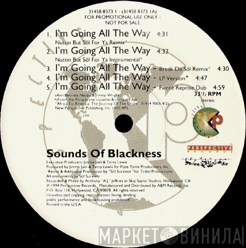  Sounds Of Blackness  - I'm Going All The Way