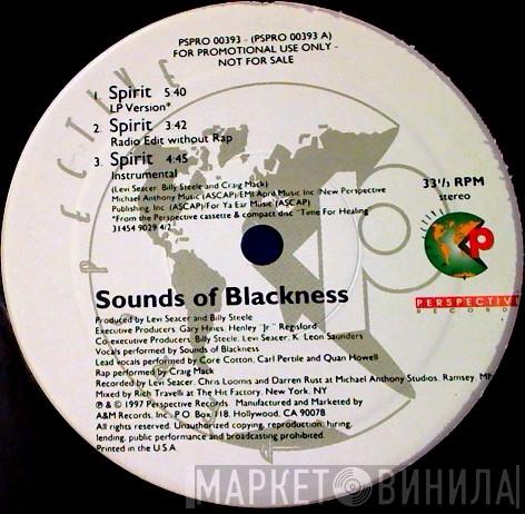 Sounds Of Blackness - Spirit