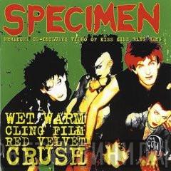  Specimen  - Wet Warm Clingfilm Red Velvet Crush