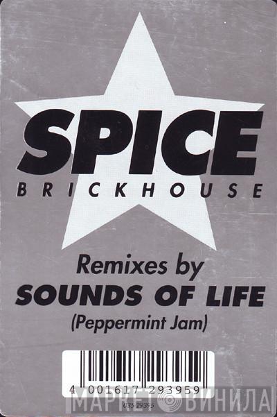 Spice - Brickhouse (Remixes By Sounds Of Life)