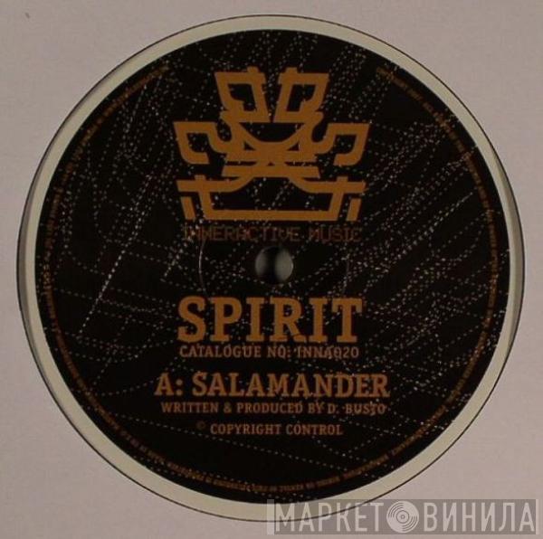 Spirit - Salamander / Holding Back