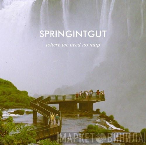 Springintgut - Where We Need No Map