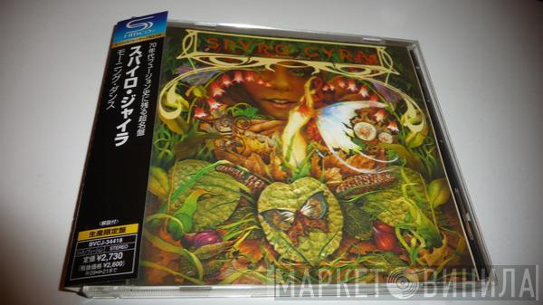  Spyro Gyra  - Morning Dance