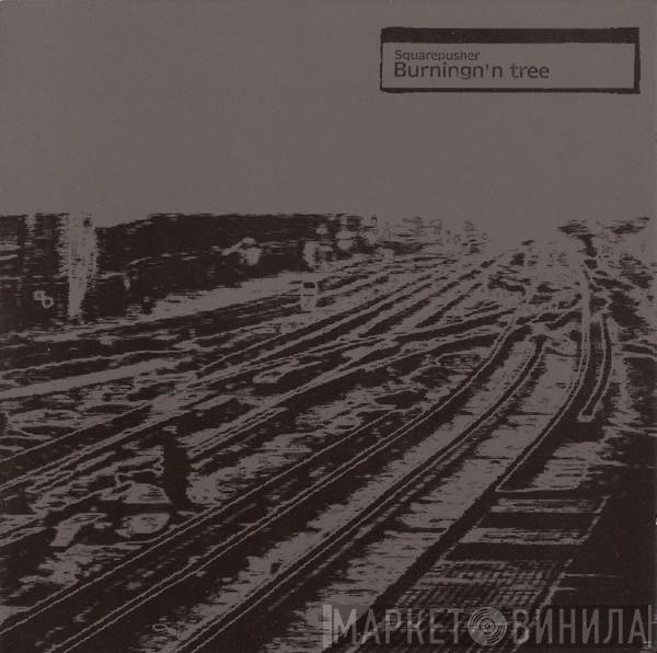  Squarepusher  - Burningn'n Tree