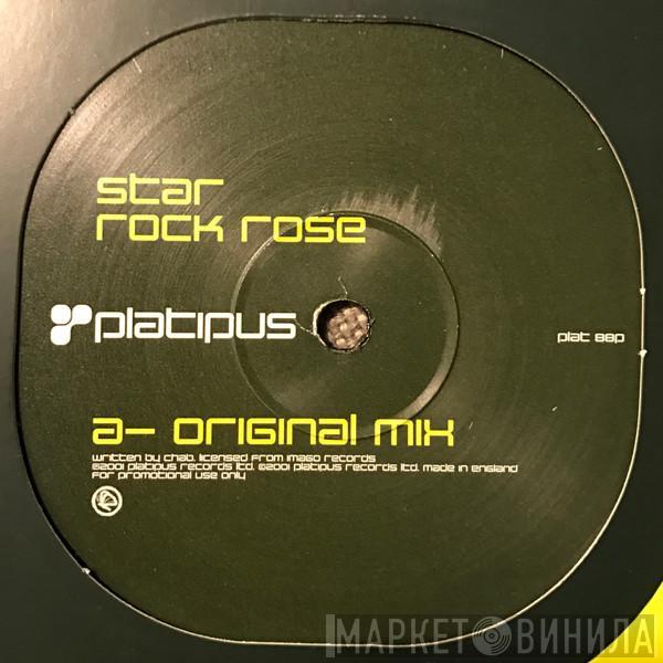 Star - Rock Rose