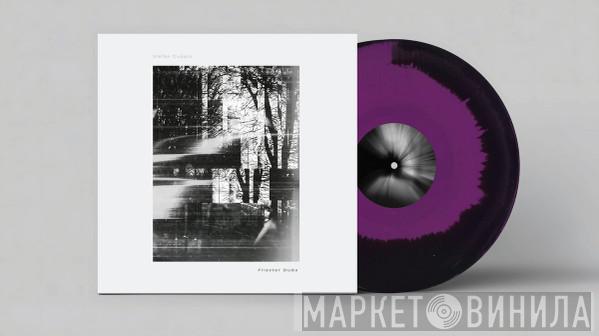 Stefan Gubatz - Fliester Dubs