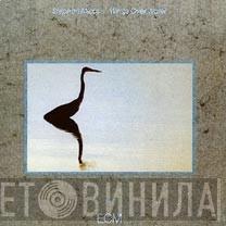  Stephan Micus  - Wings Over Water
