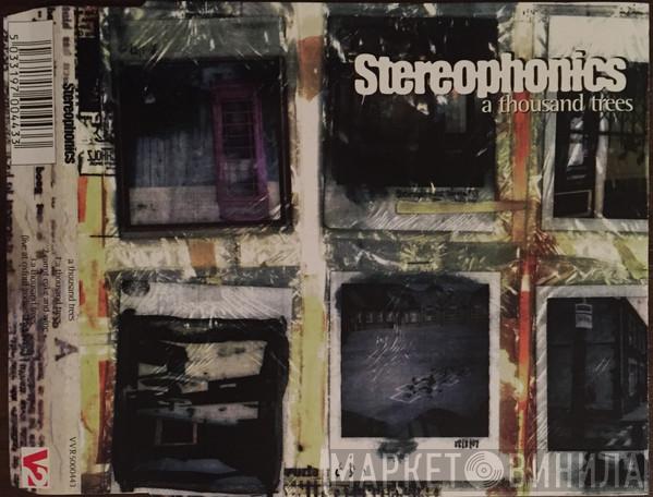  Stereophonics  - A Thousand Trees