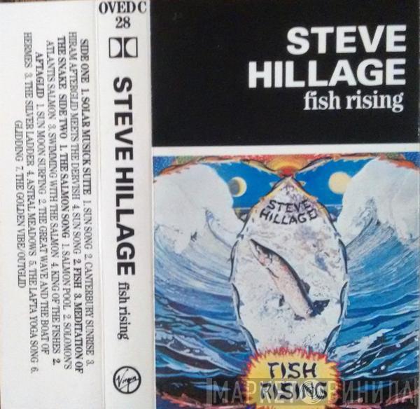 Steve Hillage - Fish Rising