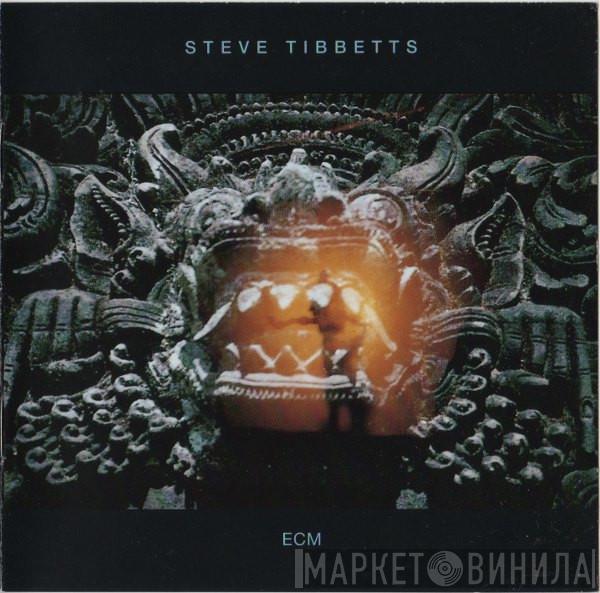  Steve Tibbetts  - The Fall Of Us All