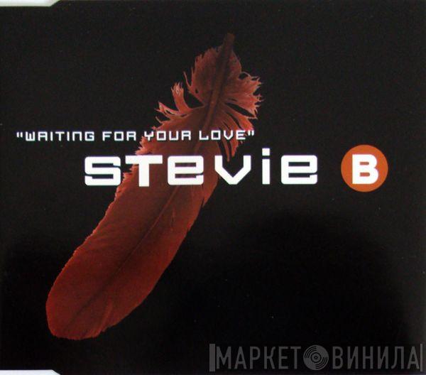  Stevie B  - Waiting For Your Love