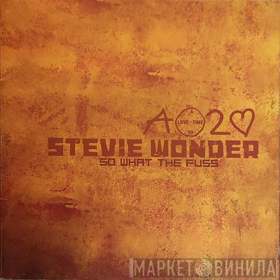 Stevie Wonder - So What The Fuss